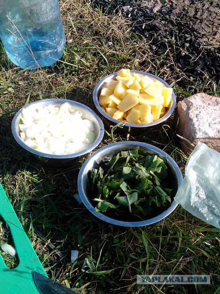 Кулинарный туризм.