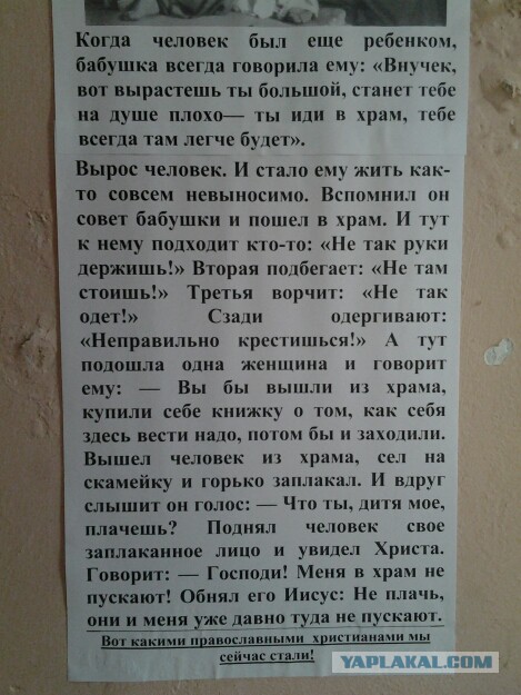 Фото не из интернета