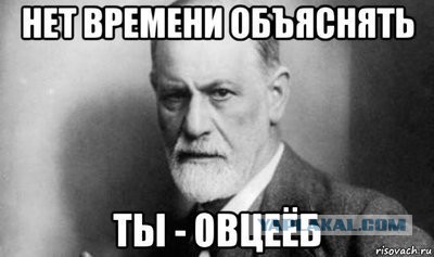 Россия запретила импорт цветов из Нидерландов
