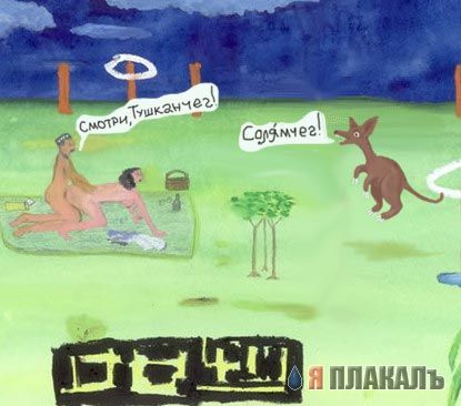 Превед медвед!