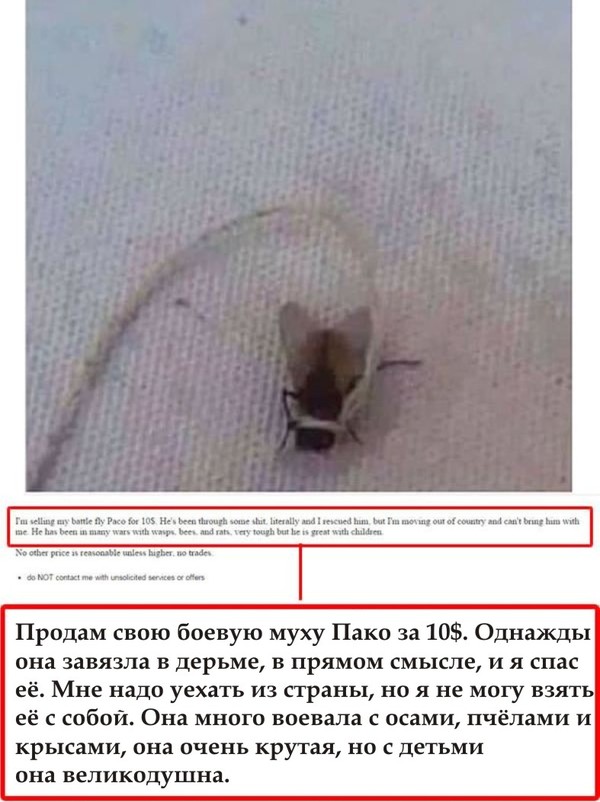 Просто картинки