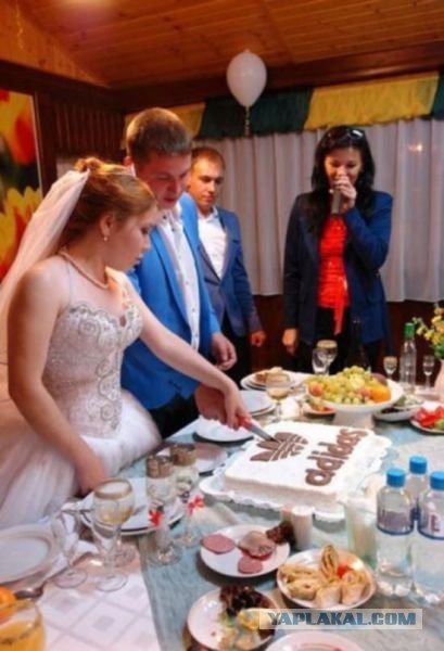 Подборка картинок из сети