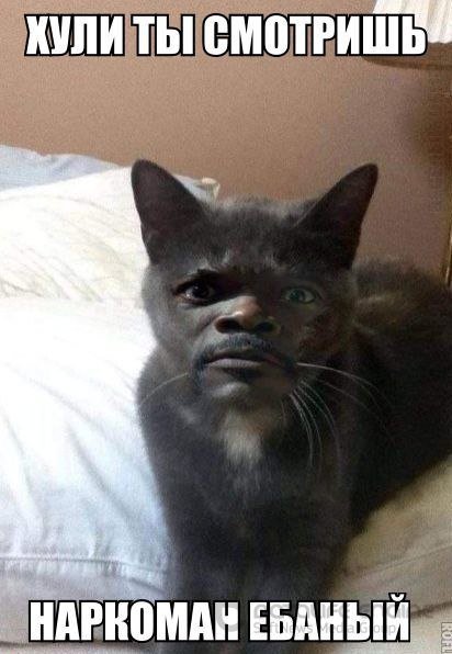 Абсурдный юмор ч.2