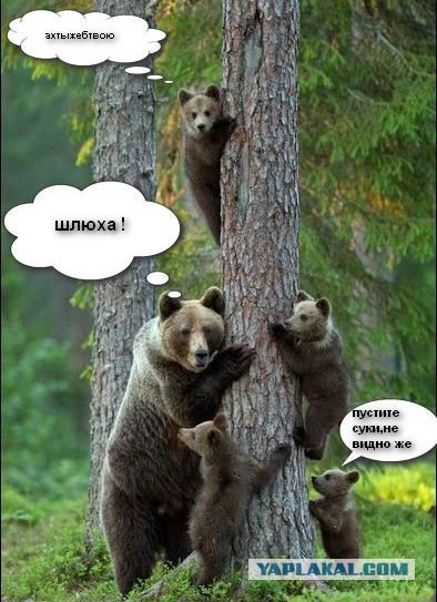 Богиня! Заворожила!