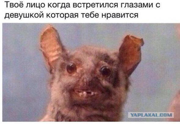 Картинки из сети, бессмысленные и беспощадные