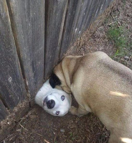 Подборка интересных и веселых картинок