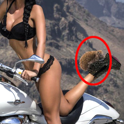 Девушки от чешской фотостудии Coyotak pictures