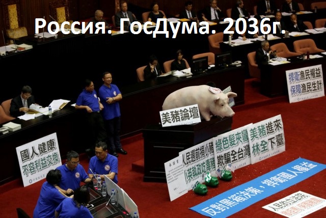 Подборка интересных и веселых картинок