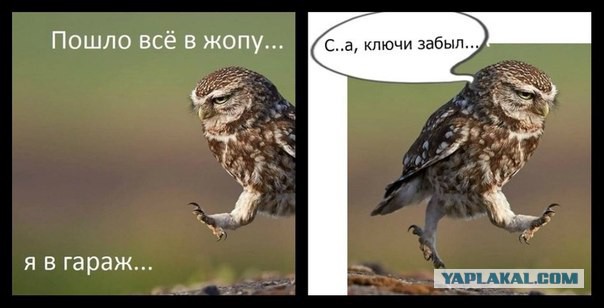 Кто не поедет на море