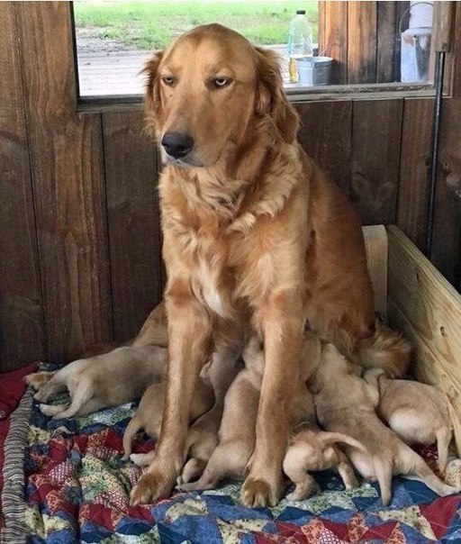Обычные необычные фотографии