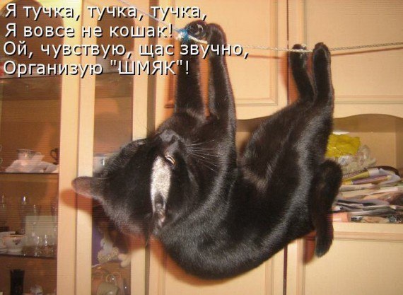 Подборка любопытных фотографий со всего света