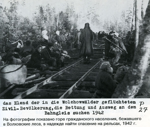 Волховский фронт. 1942. Взгляд с той стороны.
