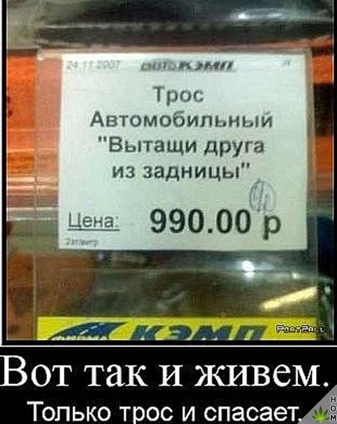 А все остальные страны нам завидуют!