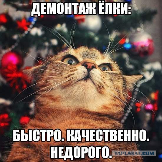 Подборка интересных и веселых картинок