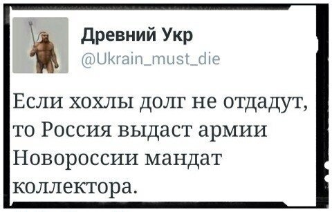 Нацбанк Украины: денег на возврат кредитов у МВФ нет