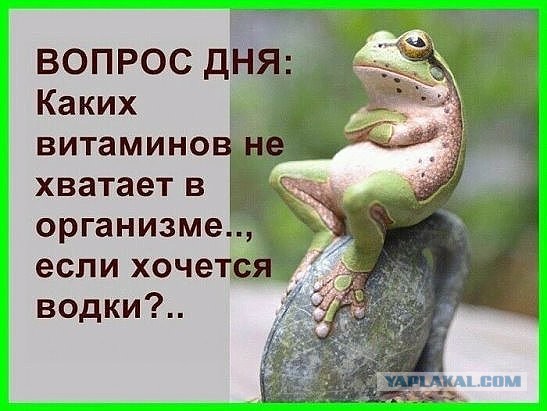 Понедельник, говорите?