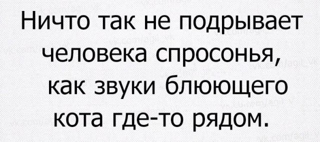 Идиотизма разного пост