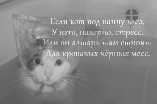 Краткий мануал по котанам