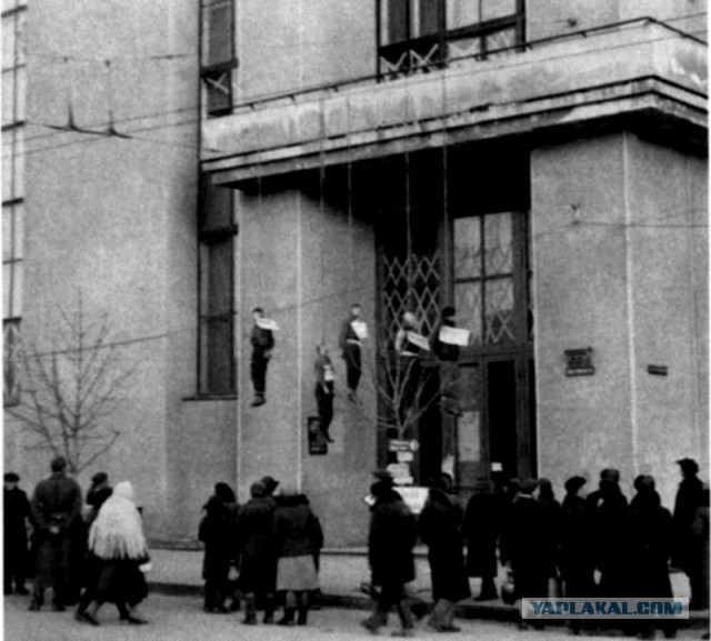 Фашисты - это воины, которые заслуживают уважения и человеческого отношения (с)