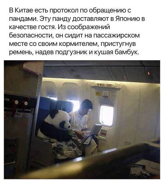 Подборка различных картинок
