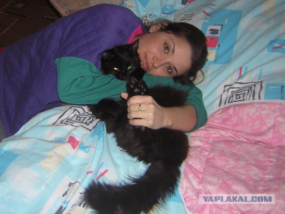 Котовторник 10. 07. 2012