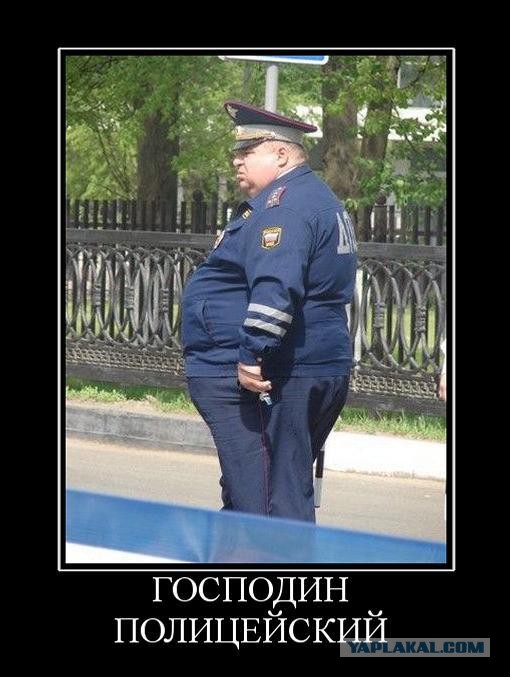 В России предложили вернуть в силовые структуры обращение «господин»