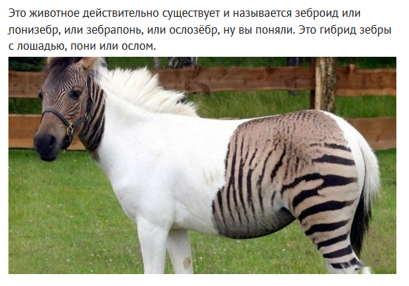 Всегда рады!