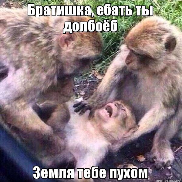 Житель Сочи купил мот на 1800 кубов, но для управления им был слегка синеват...