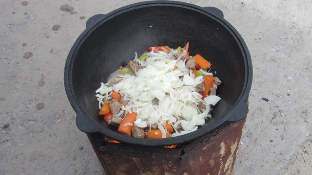 Шурпа обыкновенная, на природе