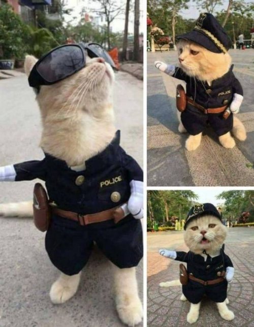 Воскресная фотоподборка