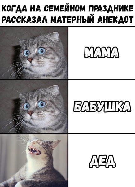 Опять картинок
