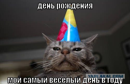 7  лет сайту ЯПлакалъ!