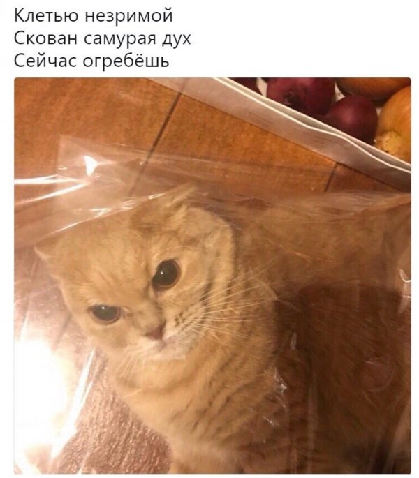 Бредзона 10.01.2020
