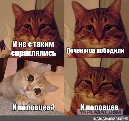 Печенеги, Путин, Плевако и плагиат.