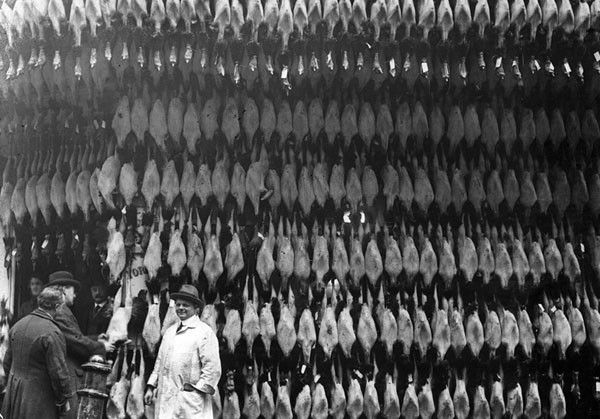 Исторические фотографии