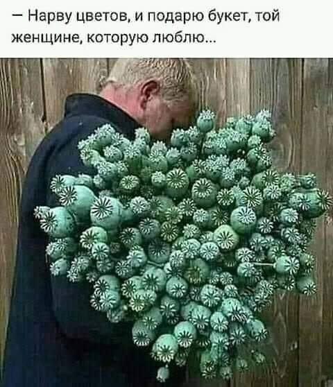 Разрешите себе делать всё