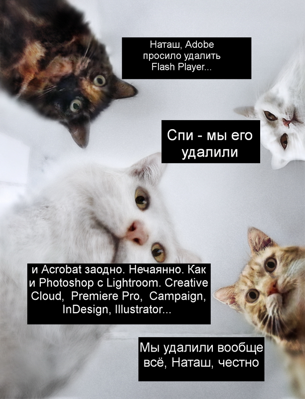 Adobe попросит всех пользователей удалить Flash Player