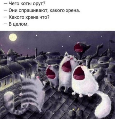 Немного картинок для настроения 04.08.20