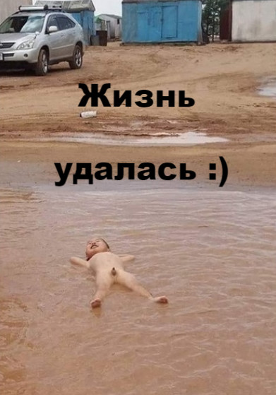 Жизнь удалась картинки прикольные