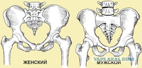 От белорусского ОМОНовца ушла жена-модель. Ей угрожали смертью и проклятиями