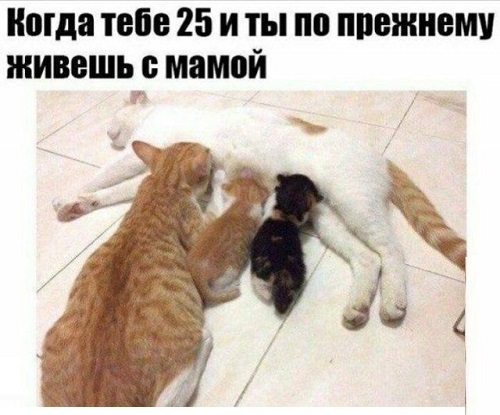 Картинки с надписями. 25.10.20
