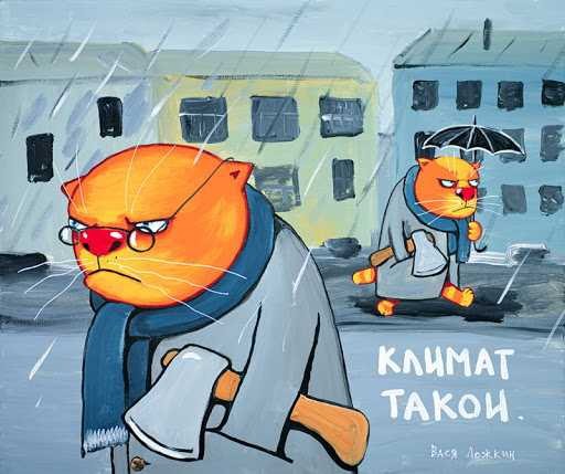 «Болезнь доцента Соколова». Под Петербургом нашли два пакета с останками женщины