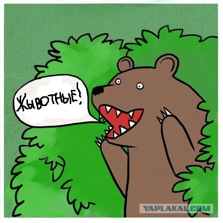 Энимал Плэнет за кадром
