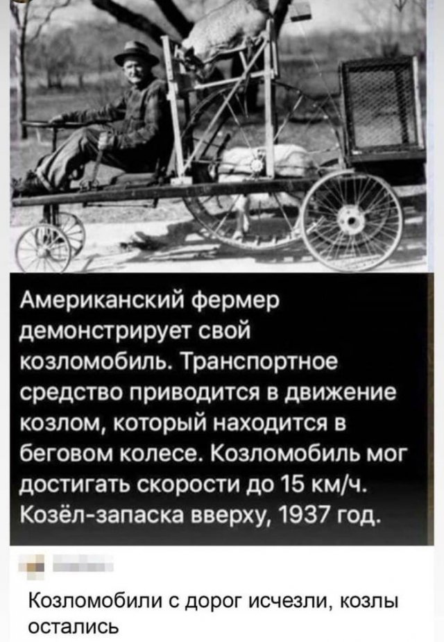 Картинки и мемы для настроения