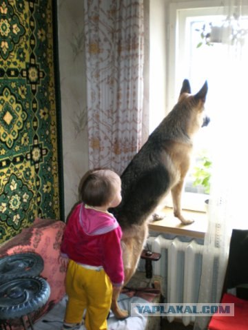 Перемена настроения