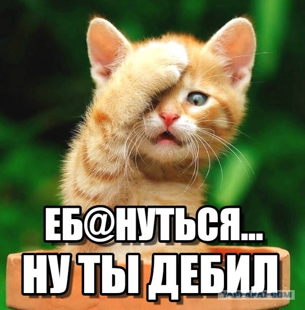 Аллах Акбар по-белорусски, или батька $@%$лся