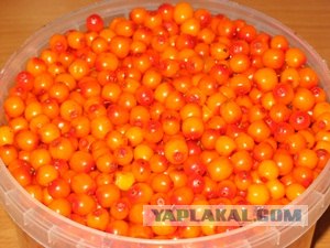 Кулинарная беседка