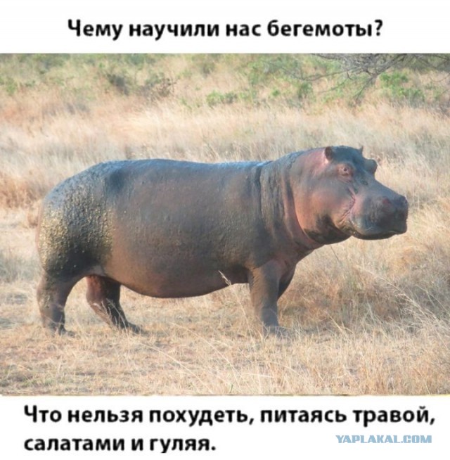 Так себе картинки 04.09.21