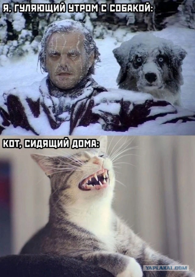 Пандемия. Коронавирус. Россия и мир. Последняя информация. Часть 24