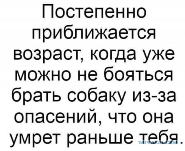 Бредзона 26.09.2021